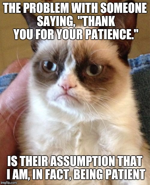 Grumpy Cat Meme | THE PROBLEM WITH SOMEONE SAYING, "THANK YOU FOR YOUR PATIENCE."; IS THEIR ASSUMPTION THAT I AM, IN FACT, BEING PATIENT | image tagged in memes,grumpy cat | made w/ Imgflip meme maker