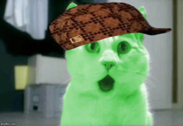 OMG RayCat | image tagged in omg raycat,scumbag | made w/ Imgflip meme maker