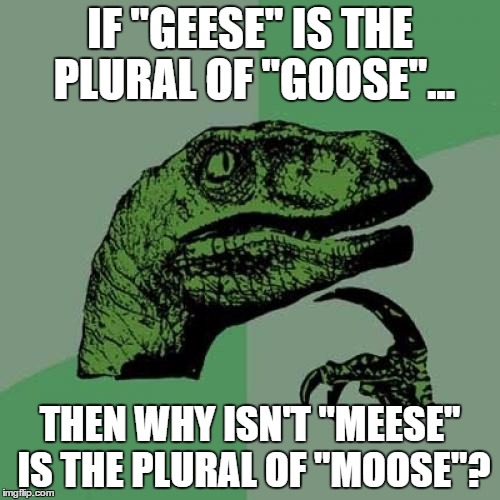 Philosoraptor | IF "GEESE" IS THE PLURAL OF "GOOSE"... THEN WHY ISN'T "MEESE" IS THE PLURAL OF "MOOSE"? | image tagged in memes,philosoraptor | made w/ Imgflip meme maker