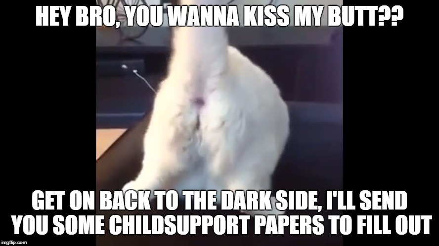 HEY BRO, YOU WANNA KISS MY BUTT?? GET ON BACK TO THE DARK SIDE, I'LL SEND YOU SOME CHILDSUPPORT PAPERS TO FILL OUT | made w/ Imgflip meme maker