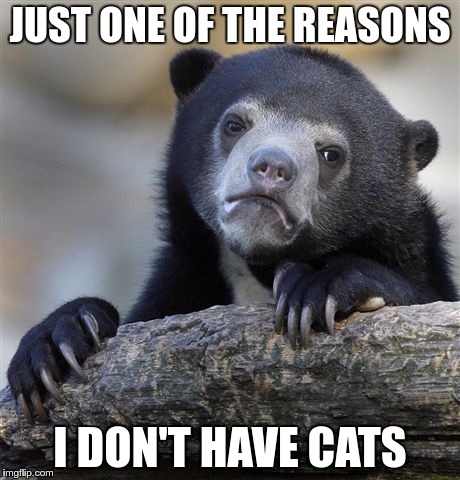 Confession Bear Meme | JUST ONE OF THE REASONS I DON'T HAVE CATS | image tagged in memes,confession bear | made w/ Imgflip meme maker