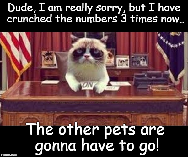 Grumpy Cat Accountancy | Dude, I am really sorry, but I have crunched the numbers 3 times now.. The other pets are gonna have to go! | image tagged in animals,memes,funny | made w/ Imgflip meme maker