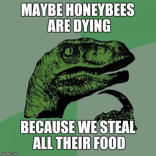 Philosoraptor | MAYBE HONEYBEES ARE DYING; BECAUSE WE STEAL ALL THEIR FOOD | image tagged in memes,philosoraptor | made w/ Imgflip meme maker