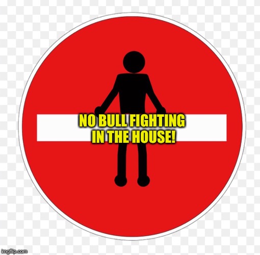 RED SIGN | NO BULL FIGHTING IN THE HOUSE! | image tagged in red sign | made w/ Imgflip meme maker