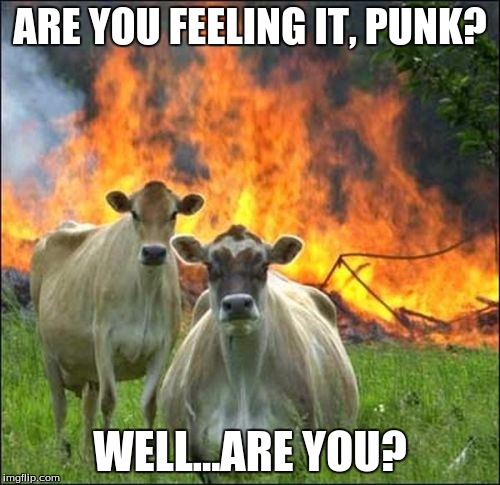 Evil Cows | ARE YOU FEELING IT, PUNK? WELL...ARE YOU? | image tagged in memes,evil cows | made w/ Imgflip meme maker