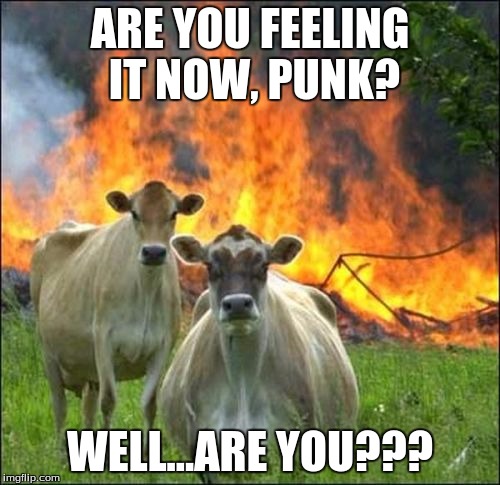 Evil Cows | ARE YOU FEELING IT NOW, PUNK? WELL...ARE YOU??? | image tagged in memes,evil cows | made w/ Imgflip meme maker