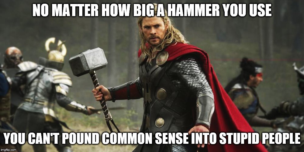Thor Hammer |  NO MATTER HOW BIG A HAMMER YOU USE; YOU CAN'T POUND COMMON SENSE INTO STUPID PEOPLE | image tagged in thor hammer | made w/ Imgflip meme maker