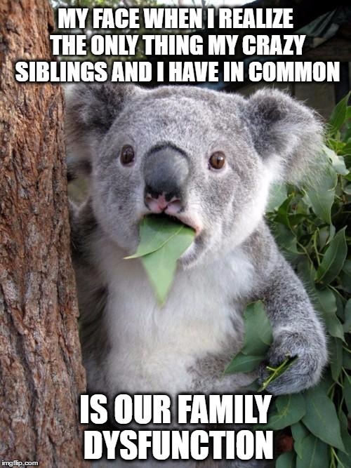 SIBLING SURPRISE | MY FACE WHEN I REALIZE THE ONLY THING MY CRAZY SIBLINGS AND I HAVE IN COMMON; IS OUR FAMILY DYSFUNCTION | image tagged in memes,surprised koala,sibling face,siblings,dysfunctional,family | made w/ Imgflip meme maker
