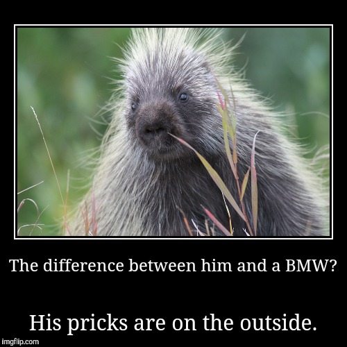 image tagged in funny,demotivationals | made w/ Imgflip demotivational maker