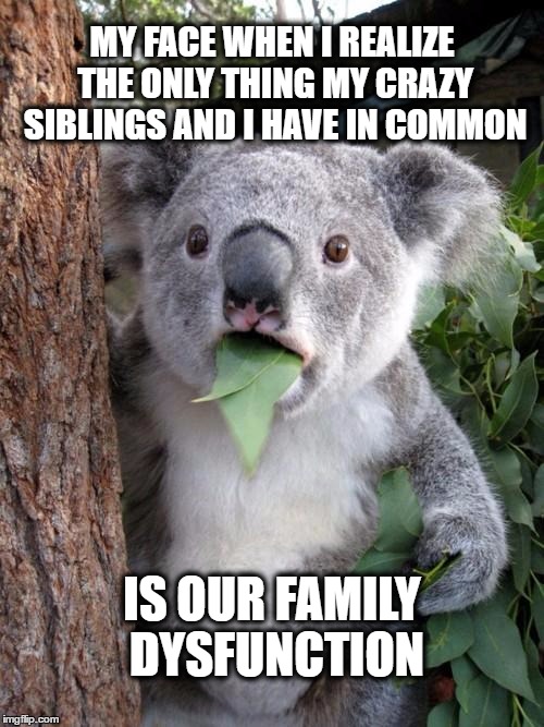 Sibling Surprise | MY FACE WHEN I REALIZE THE ONLY THING MY CRAZY SIBLINGS AND I HAVE IN COMMON; IS OUR FAMILY DYSFUNCTION | image tagged in memes,surprised koala,siblings,sibling face,dysfunctional,family | made w/ Imgflip meme maker