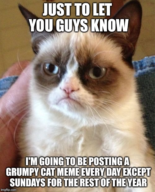 Grumpy Cat | JUST TO LET YOU GUYS KNOW; I'M GOING TO BE POSTING A GRUMPY CAT MEME EVERY DAY EXCEPT SUNDAYS FOR THE REST OF THE YEAR | image tagged in memes,grumpy cat | made w/ Imgflip meme maker