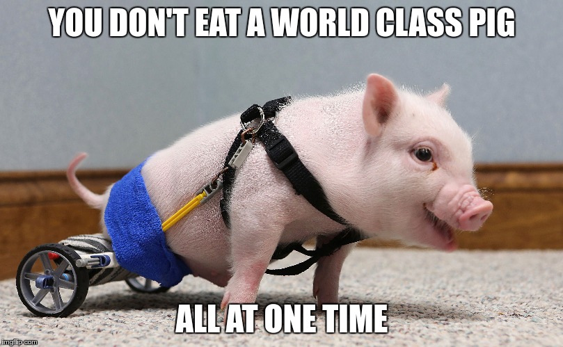 YOU DON'T EAT A WORLD CLASS PIG ALL AT ONE TIME | made w/ Imgflip meme maker