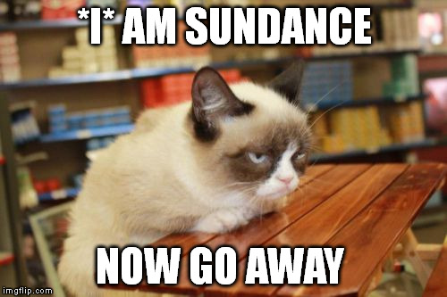Grumpy Cat Table Meme | *I* AM SUNDANCE; NOW GO AWAY | image tagged in memes,grumpy cat table | made w/ Imgflip meme maker