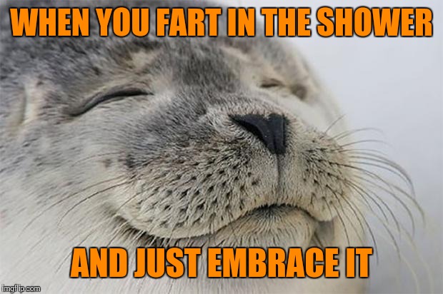 Sure, you could hold your nose or jump out, but sometimes... | WHEN YOU FART IN THE SHOWER; AND JUST EMBRACE IT | image tagged in memes,satisfied seal,farts | made w/ Imgflip meme maker