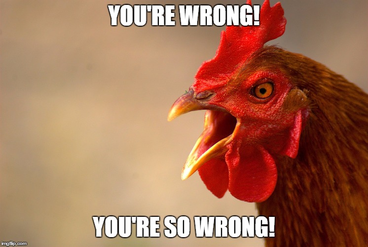 YOU'RE WRONG! YOU'RE SO WRONG! | made w/ Imgflip meme maker