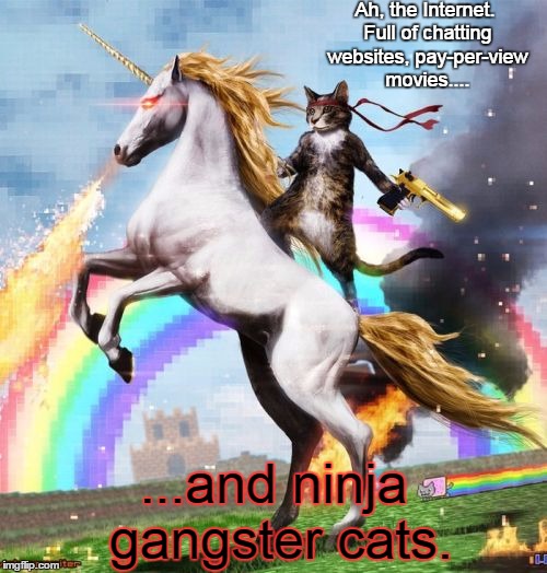 Welcome To The Internets Meme | Ah, the Internet. Full of chatting websites, pay-per-view movies.... ...and ninja gangster cats. | image tagged in memes,welcome to the internets | made w/ Imgflip meme maker
