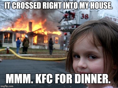 Disaster Girl Meme | IT CROSSED RIGHT INTO MY HOUSE. MMM. KFC FOR DINNER. | image tagged in memes,disaster girl | made w/ Imgflip meme maker