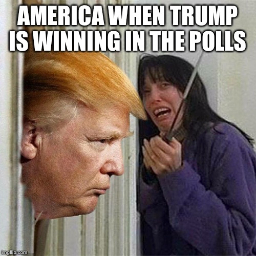 Donald trump here's Donny | AMERICA WHEN TRUMP IS WINNING IN THE POLLS | image tagged in donald trump here's donny | made w/ Imgflip meme maker