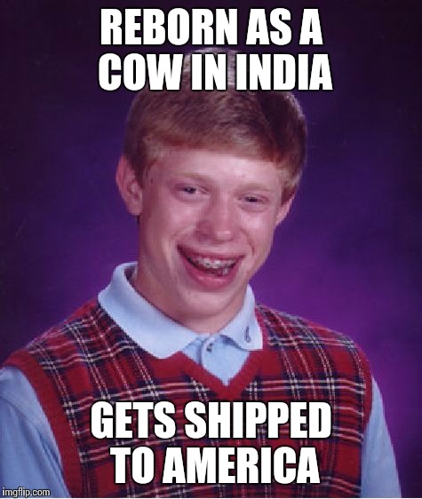 Bad Luck Brian | REBORN AS A COW IN INDIA; GETS SHIPPED TO AMERICA | image tagged in memes,bad luck brian | made w/ Imgflip meme maker