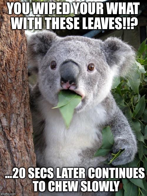 Surprised Koala | YOU WIPED YOUR WHAT WITH THESE LEAVES!!? ...20 SECS LATER CONTINUES TO CHEW SLOWLY | image tagged in memes,surprised koala | made w/ Imgflip meme maker