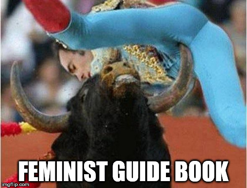 go for the balls | FEMINIST GUIDE BOOK | image tagged in matador | made w/ Imgflip meme maker