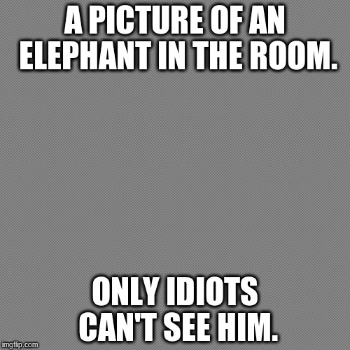 picture of an elephant | A PICTURE OF AN ELEPHANT IN THE ROOM. ONLY IDIOTS CAN'T SEE HIM. | image tagged in elephant in the room | made w/ Imgflip meme maker