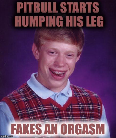 Nice doggy | PITBULL STARTS HUMPING HIS LEG; FAKES AN ORGASM | image tagged in memes,bad luck brian | made w/ Imgflip meme maker