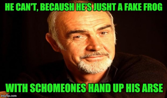 HE CAN'T, BECAUSH HE'S JUSHT A FAKE FROG WITH SCHOMEONES HAND UP HIS ARSE | made w/ Imgflip meme maker