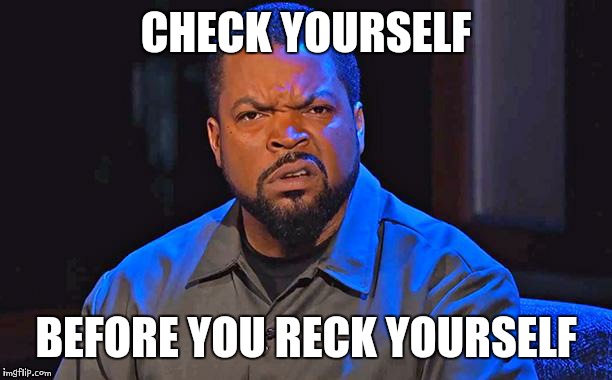 ice cube | CHECK YOURSELF; BEFORE YOU RECK YOURSELF | image tagged in ice cube | made w/ Imgflip meme maker