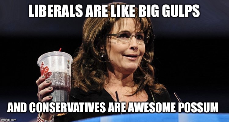 Conservative wisdom | LIBERALS ARE LIKE BIG GULPS; AND CONSERVATIVES ARE AWESOME POSSUM | image tagged in palin | made w/ Imgflip meme maker