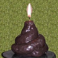 Dog Poo Candle | image tagged in dog poo candle | made w/ Imgflip meme maker