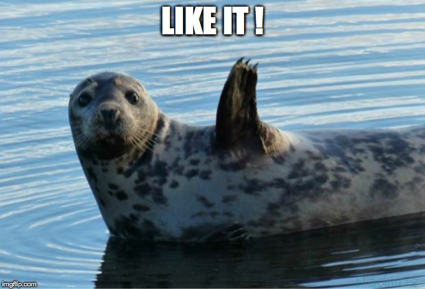 Seal | LIKE IT ! | image tagged in seal | made w/ Imgflip meme maker