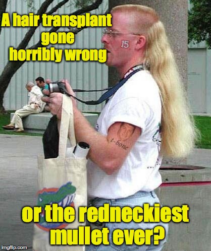 Or has Rapunzel been scalped? | A hair transplant gone horribly wrong; or the redneckiest mullet ever? | image tagged in redneck,mullet | made w/ Imgflip meme maker