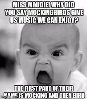 Angry Baby Meme | MISS MAUDIE! WHY DID YOU SAY MOCKINGBIRDS GIVE US MUSIC WE CAN ENJOY? THE FIRST PART OF THEIR NAME IS MOCKING AND THEN BIRD | image tagged in memes,angry baby | made w/ Imgflip meme maker