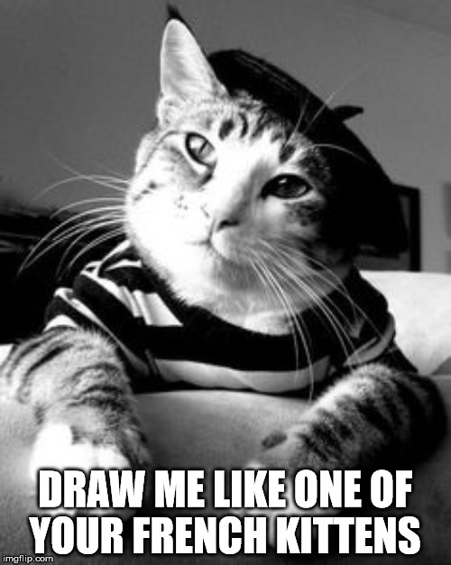 DRAW ME LIKE ONE OF YOUR FRENCH KITTENS | made w/ Imgflip meme maker