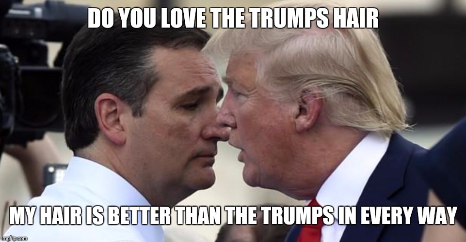 Trump and Cruz | DO YOU LOVE THE TRUMPS HAIR; MY HAIR IS BETTER THAN THE TRUMPS IN EVERY WAY | image tagged in trump and cruz | made w/ Imgflip meme maker