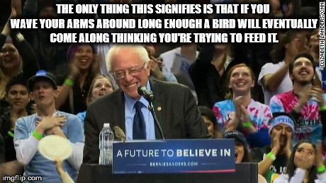 Sanders birdie | THE ONLY THING THIS SIGNIFIES IS THAT IF YOU WAVE YOUR ARMS AROUND LONG ENOUGH A BIRD WILL EVENTUALLY COME ALONG THINKING YOU'RE TRYING TO FEED IT. | image tagged in sanders birdie | made w/ Imgflip meme maker