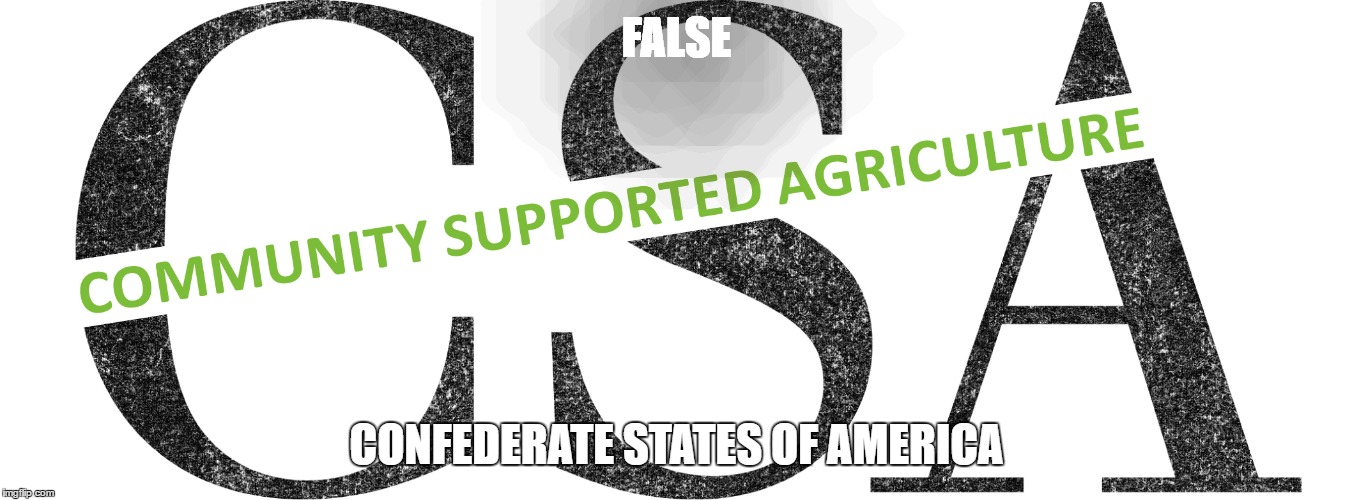 wow who knew | FALSE; CONFEDERATE STATES OF AMERICA | image tagged in confederate | made w/ Imgflip meme maker