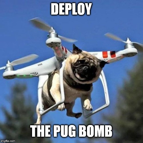 Bombs away! | DEPLOY; THE PUG BOMB | image tagged in flying pug,bombs | made w/ Imgflip meme maker