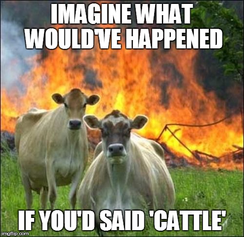 IMAGINE WHAT WOULD'VE HAPPENED IF YOU'D SAID 'CATTLE' | made w/ Imgflip meme maker