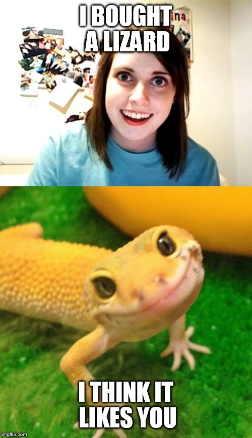 I bought a lizard! | I BOUGHT A LIZARD; I THINK IT LIKES YOU | image tagged in overly attached girlfriend,creepy smile,lizard | made w/ Imgflip meme maker