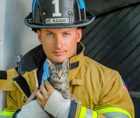 Fireman-Kitten Blank Meme Template