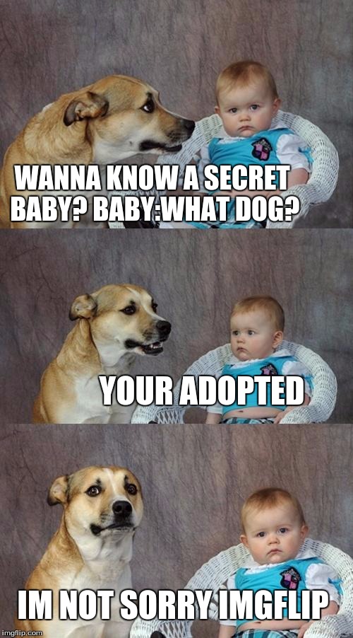 Dad Joke Dog | WANNA KNOW A SECRET BABY?
BABY:WHAT DOG? YOUR ADOPTED; IM NOT SORRY IMGFLIP | image tagged in memes,dad joke dog | made w/ Imgflip meme maker