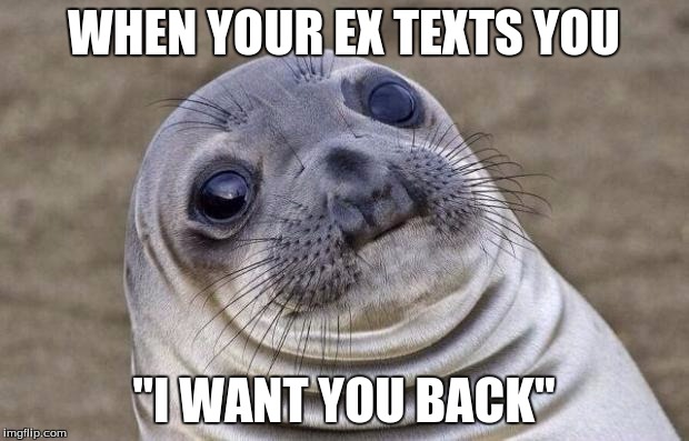 Awkward Moment Sealion | WHEN YOUR EX TEXTS YOU; "I WANT YOU BACK" | image tagged in memes,awkward moment sealion | made w/ Imgflip meme maker