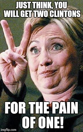 Hillary Clinton 2016  | JUST THINK, YOU WILL GET TWO CLINTONS; FOR THE PAIN OF ONE! | image tagged in hillary clinton 2016,memes,funny memes,election 2016 | made w/ Imgflip meme maker
