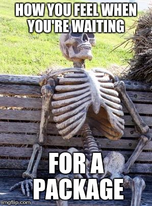 Waiting Skeleton Meme | HOW YOU FEEL WHEN YOU'RE WAITING; FOR A PACKAGE | image tagged in memes,waiting skeleton | made w/ Imgflip meme maker