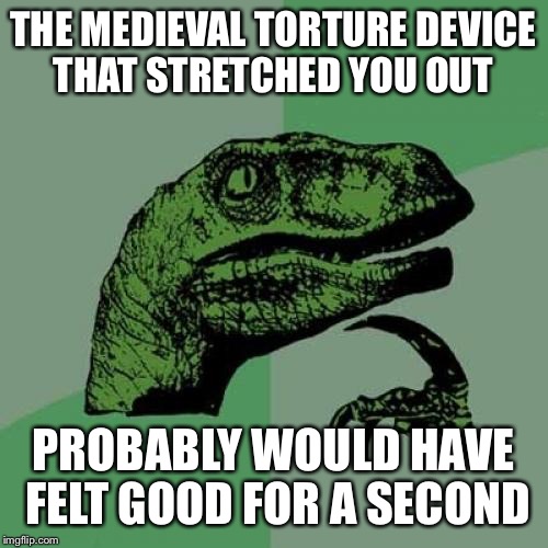 Philosoraptor | THE MEDIEVAL TORTURE DEVICE THAT STRETCHED YOU OUT; PROBABLY WOULD HAVE FELT GOOD FOR A SECOND | image tagged in memes,philosoraptor | made w/ Imgflip meme maker