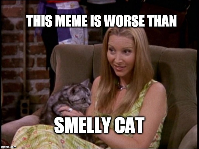 Smelly Cat | THIS MEME IS WORSE THAN; SMELLY CAT | image tagged in phoebe,smelly cat,terrible meme | made w/ Imgflip meme maker