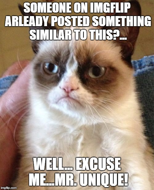 Grumpy Cat Meme | SOMEONE ON IMGFLIP ARLEADY POSTED SOMETHING SIMILAR TO THIS?... WELL... EXCUSE ME...MR. UNIQUE! | image tagged in memes,grumpy cat | made w/ Imgflip meme maker
