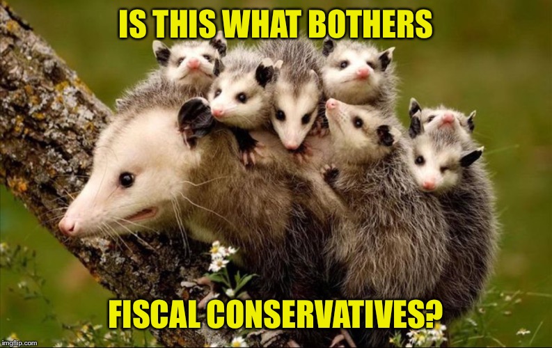 OVERLOADED OPOSSUM | IS THIS WHAT BOTHERS; FISCAL CONSERVATIVES? | image tagged in struggling under the load | made w/ Imgflip meme maker